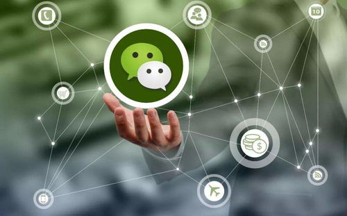 朋友圈營(yíng)銷策劃推廣實(shí)戰(zhàn)指南 微漁商學(xué)院助你精準(zhǔn)引流